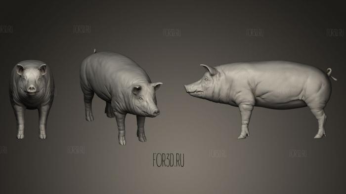 3D Модель свиньи 3d stl модель для ЧПУ